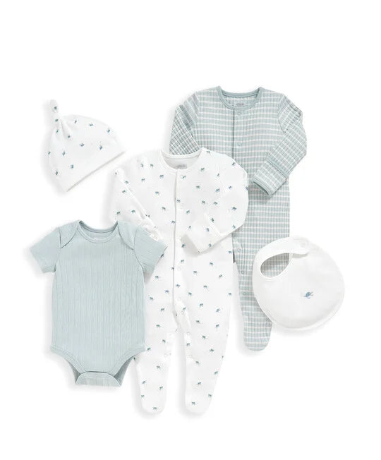 5 Piece Turtle Set