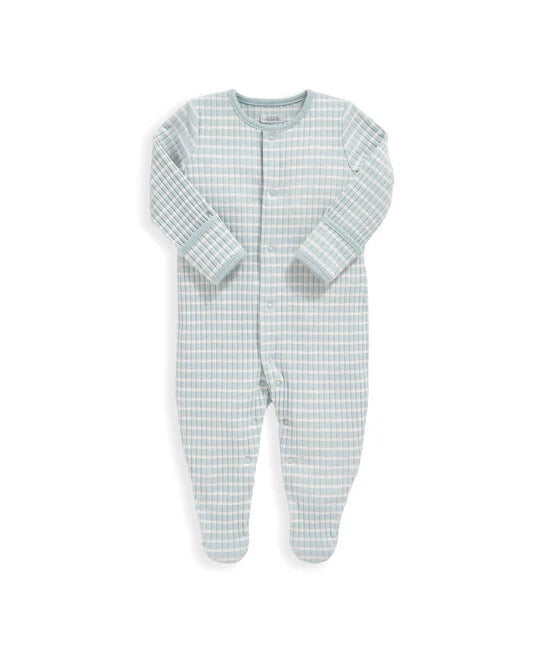 5 Piece Turtle Set