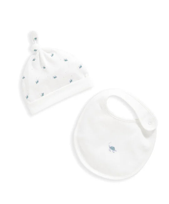 5 Piece Turtle Set