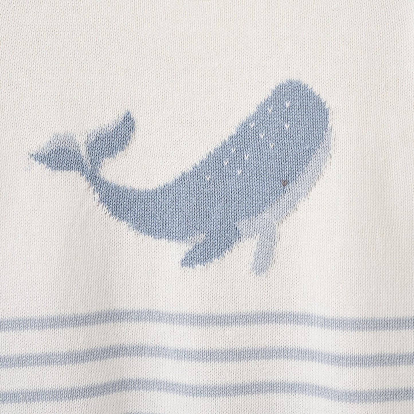 Whale Striped Knit Short Set