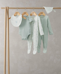 5 Piece Turtle Set